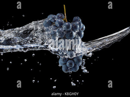 purple grapes in water splash on a black background. Stock Photo