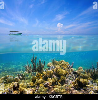 Split view above and under the sea with a coral reef on the ocean floor and blue sky with a boat Stock Photo