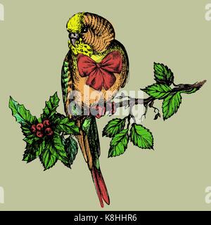 Parakeet with bow and mistletoe sitting on brunch illustration for pet commercial Stock Vector