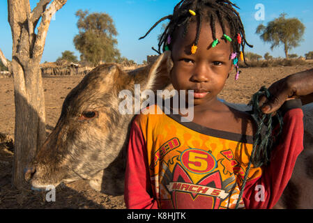 Peul child with cattle. senegal. Stock Photo