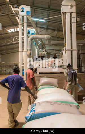 Rice processing and packing factory. senegal. Stock Photo