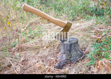 Ax thrust into the stump Stock Photo