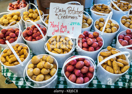 North Carolina,NC,Grandy,Greenhouse & Farm Market,fresh produce,potatoes,display sale RF NC170518183RF Stock Photo