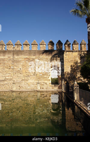 The wall and palm and its reflection in fountains of the garden of Alcazar in Cordoba, Spain Stock Photo