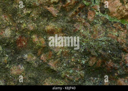 Nature background old granite stone covered with moss Stock Photo