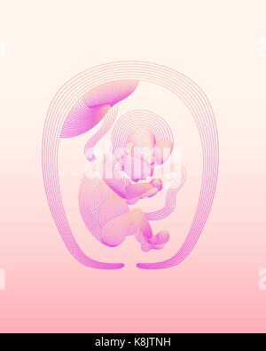 Baby in womb on the white background Stock Vector Image & Art - Alamy