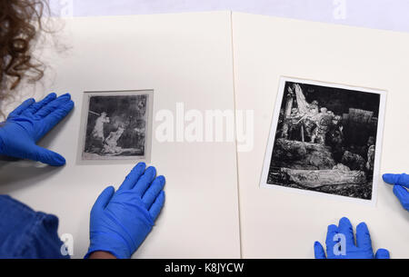 Curators inspect an etching named 'The Beheading of John the Baptist' (left) and 'The Descent From the Cross By Torchlight' (right), on display during the Rembrandt: Lightening the Darkness exhibition at Norwich Castle Museum and Art Gallery. Stock Photo