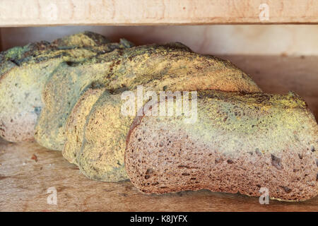 Slices of old moldy rye bread on wooden shelf Stock Photo