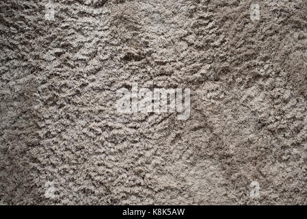photo of a Thick carpets Stock Photo