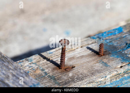 planks and rusty nails from the old broken-up wooden bench placed in the park. In the wood there are traces of blue paint. Photo close-up, small depth Stock Photo