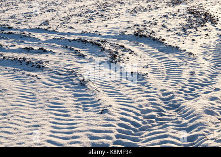 covered the plowed earth - tracks from the wheels of the car on the snow-covered rough plowed land in the agricultural field. Photographed close-up. Stock Photo