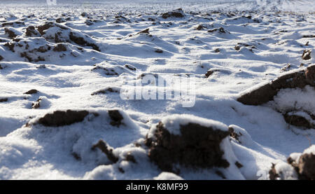covered in snow plowed cultivated land in the agricultural field. It has an uneven surface. Photographed close up. Stock Photo