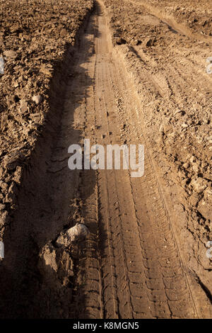 deep rut from a passing truck on a plowed agricultural field. Photo of a close-up of a rut from one wheel. improvised road Stock Photo