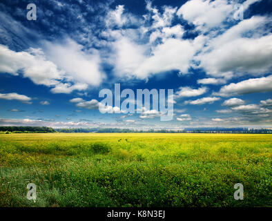 green field and blue sky with light clouds Stock Photo - Alamy
