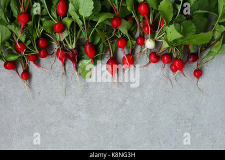Radish on concrete, food background Stock Photo