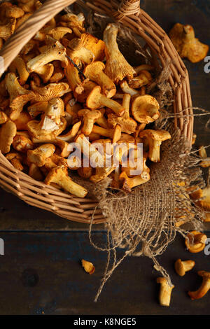 Chanterelles harvest in wicker basket, food top view Stock Photo