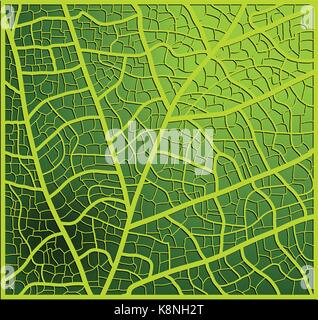 leaf texture, veins vector background design. Beautiful illustration ready to use Stock Vector