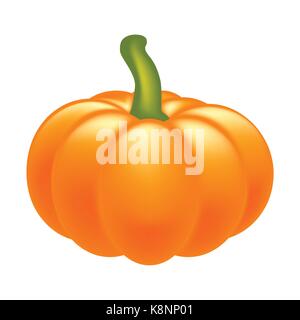 Halloween pumpkin realistic vector illustration isolated on white background. Image created with gradient mesh. Stock Vector