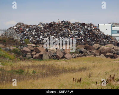 Sheerness, Kent, UK. 20th Sep, 2017. New scrap metal handling facility at the port of Sheerness (Peel Ports London Medway). A new partnership has been formed between Peel Ports and Sims Metal Management at Sheerness. The new facility will handle 300,000 tonnes of scrap metal a year, allowing Sims to expand its UK deep-sea shipments across the world. Sims is the world's largest listed metal and electronics recycler. Pic: the scrap metal mountain at Garrison Point, Sheerness (nr the old Olau ferry berth; the disused passenger walkway can be seen to the right). Credit: James Bell/Alamy Live News Stock Photo