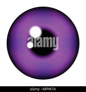 The pupil of the eye, eye ball. Realistic vector illustration isolated on white background. Stock Vector