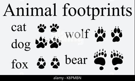 Set of animal  trails, footprints with name isolated on white background. silhouettes vector illustration Stock Vector