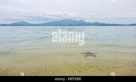 A lone starfish under the clear blue sea at Starfish Island, Puerto Princesa, Palawan (The Last Frontier, MIMAROPA, Philippines, Southeast Asia Stock Photo