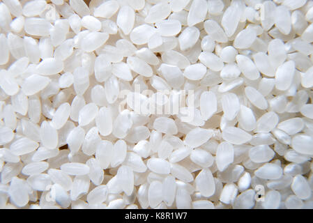 Rice - Cereal Plant, Cereal Plant, Basmati Rice, Food, Seed. White rice background,uncooked raw cereals, macro closeup Stock Photo