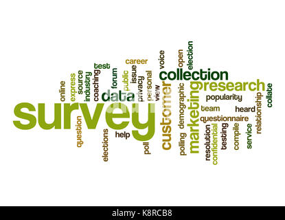 Survey word cloud Stock Photo