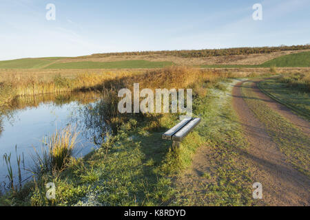View of path, reedbed habitat and frosted bench, on site of former opencast coal mine, St. Aidans RSPB Reserve, West Yorkshire, England, November Stock Photo
