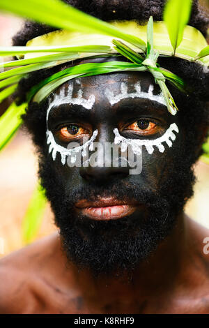 Korafe-Man with facial painting and headdress made of leaves, portrait, McLaren-Harbour, Tufi, Papua New Guinea, Oceania Stock Photo