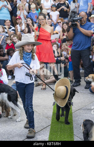 Animal lovers celebrate National Dog Day at the Brooklyn Public Library with a dog fashion show on the green carpet. National Dog Day is celebrated August 26th annually and was founded in 2004 by Pet & Family Lifestyle Expert and Animal Advocate,  Colleen Paige. Stock Photo