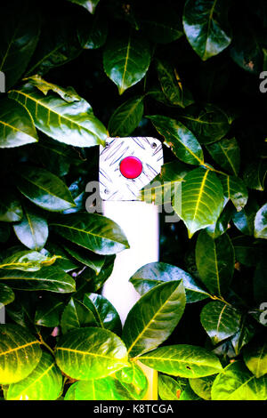 metal red button surrounded by green leaves Stock Photo