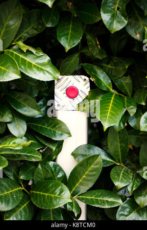 metal red button surrounded by green leaves Stock Photo