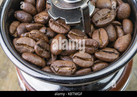 Medium roasted Arabica coffee beans in a manual coffee grinder Stock Photo