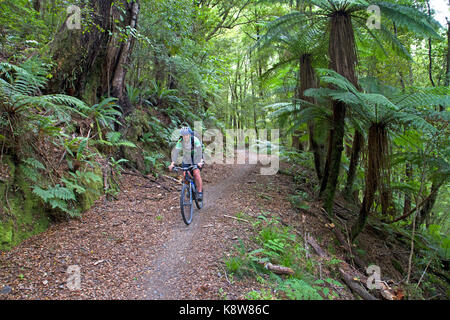 Mountain biking on the Old Ghost Road Stock Photo