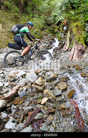 Mountain biking on the Old Ghost Road Stock Photo