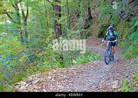 Mountain biking on the Old Ghost Road Stock Photo