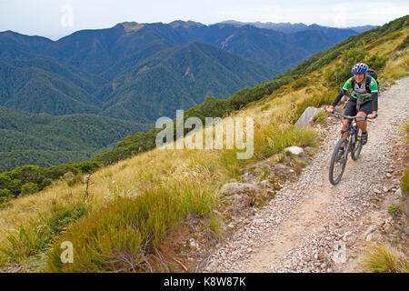 Mountain biking on the Old Ghost Road Stock Photo