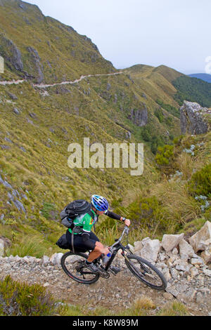 Mountain biking on the Old Ghost Road Stock Photo