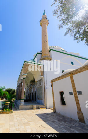 View of the El-Jazzar Mosque (the white mosque) in Acre (Akko), Israel Stock Photo