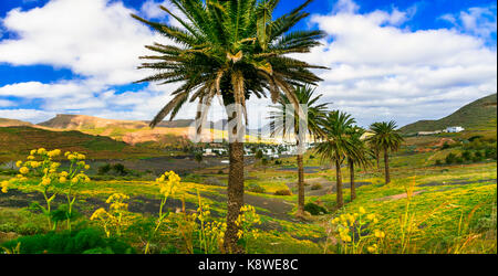 Impressive volcanic landscape of Lanzarote island,Canary,Spain. Stock Photo