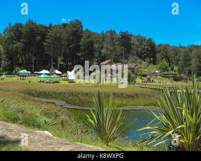 This is from Parque Arvi Santa Elena, Medellin ,Colombia Stock Photo