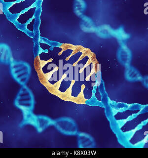 Double helix DNA molecule with modified genes  , Correcting mutation by genetic engineering Stock Photo