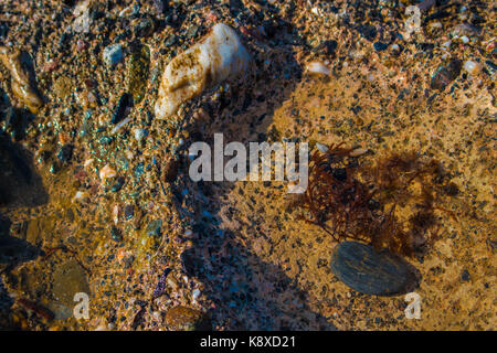 Beach cliffs. Stone, shell and sea. Marine background. Stock Photo