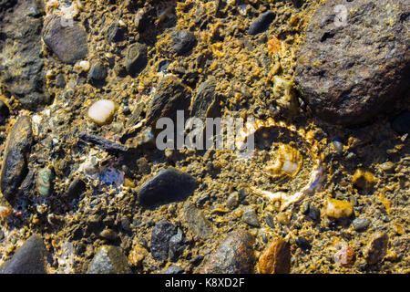 Beach cliffs. Stone, shell and sea. Marine background. Stock Photo