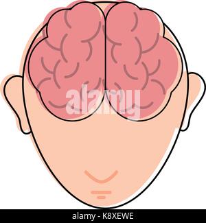 human brain inside head topview icon image Stock Vector Image & Art - Alamy