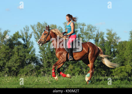 Young female riding on saddle horse Stock Photo