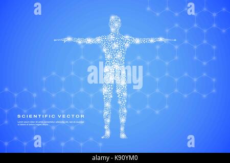 Abstract human body with molecules DNA. Medicine, science and technology concept. Vector illustration. Stock Vector