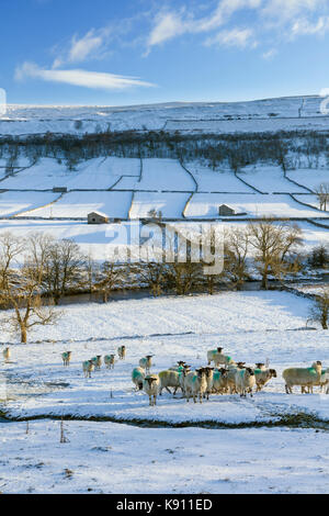 Snow covered fields around the village of Kettlewell in Wharfedale Stock Photo