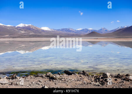 Clear altiplano laguna in sud Lipez reserva Eduardo Avaroa, Bolivia Stock Photo